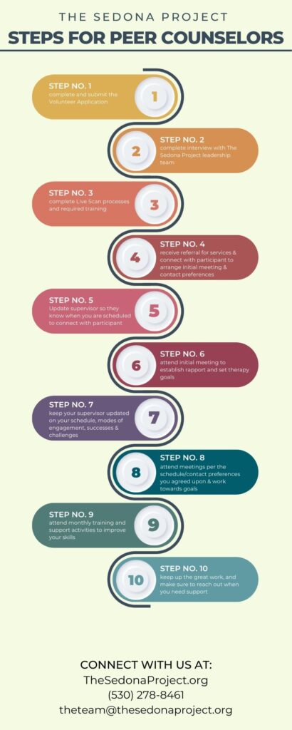 steps for peer counselors infographic